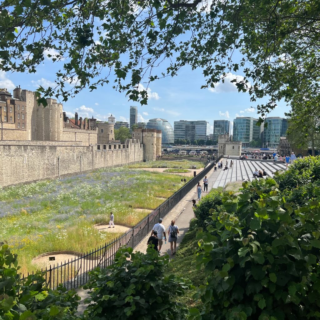 Les lieux de la saga Suppdonn, la tour de Londres
